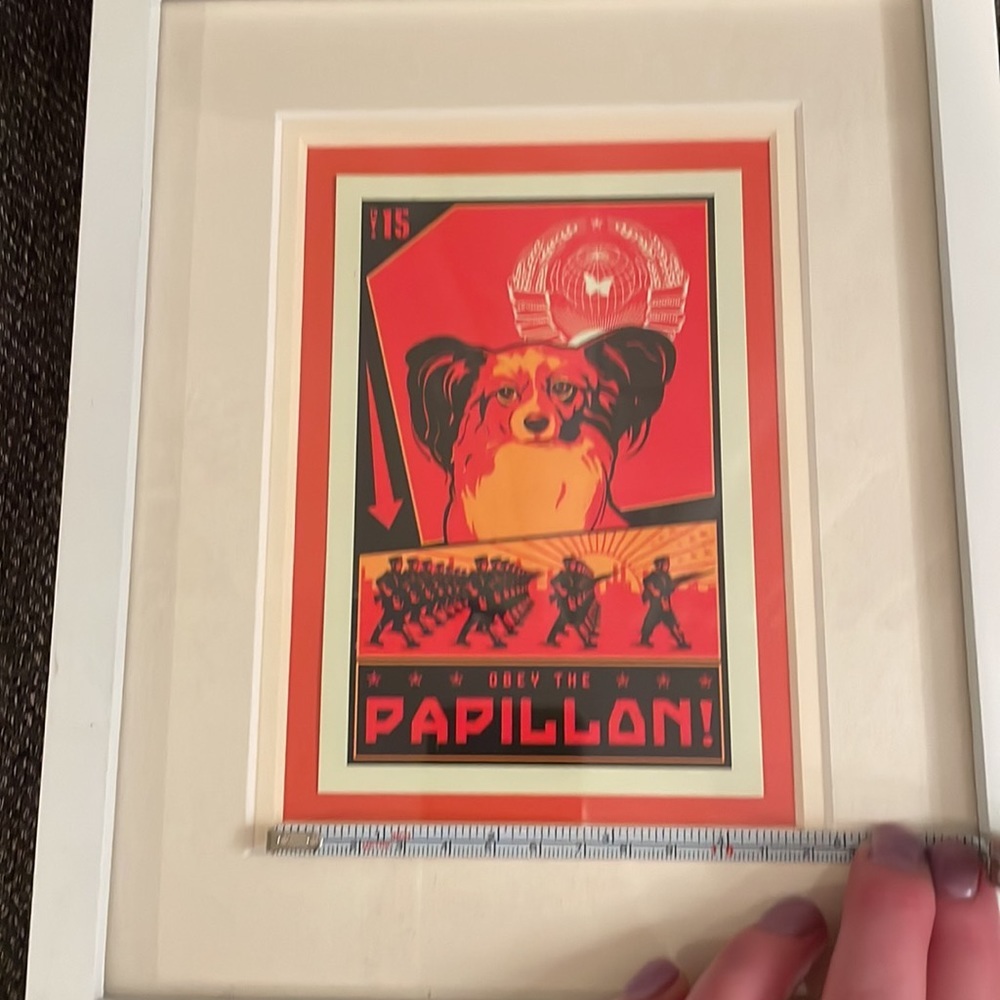 Papillon print in 8 X 10 white frame. - Picture 4 of 5